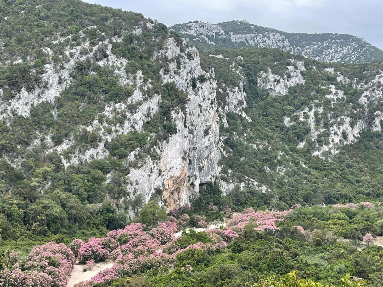 Sa Troppa De Sos Chentu Dorgali Exterior foto