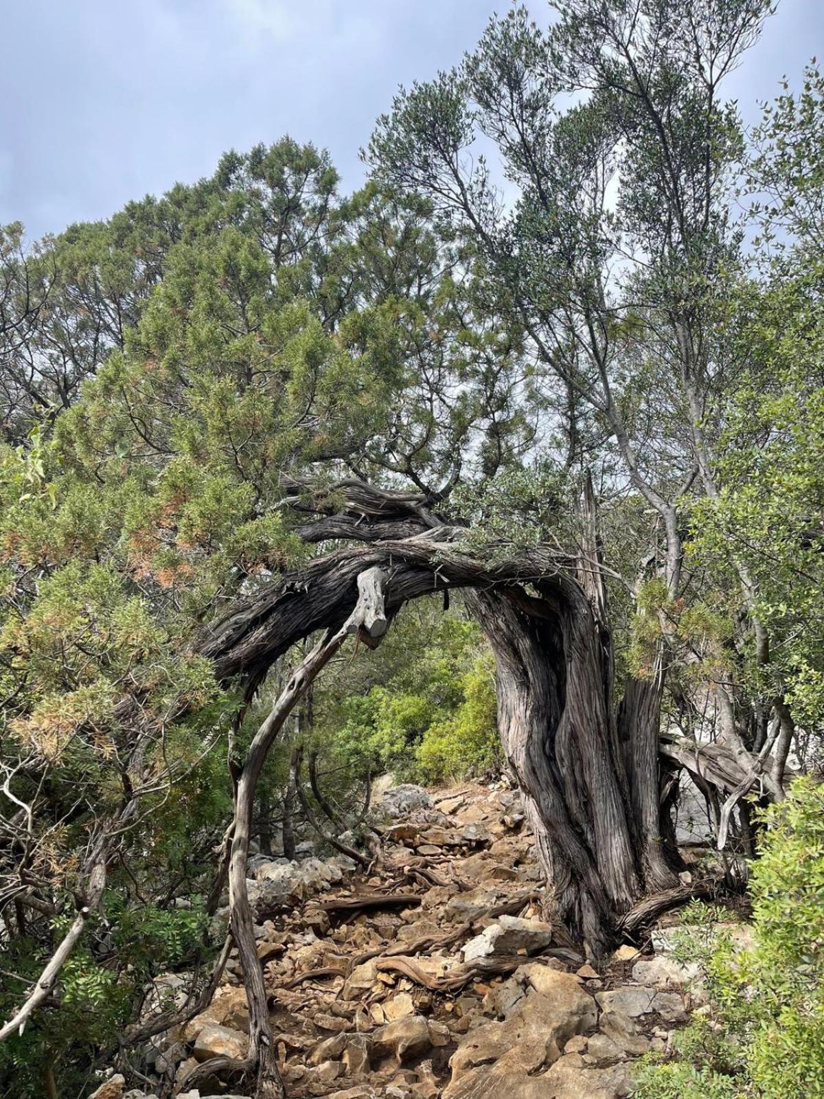 Sa Troppa De Sos Chentu Dorgali Exterior foto