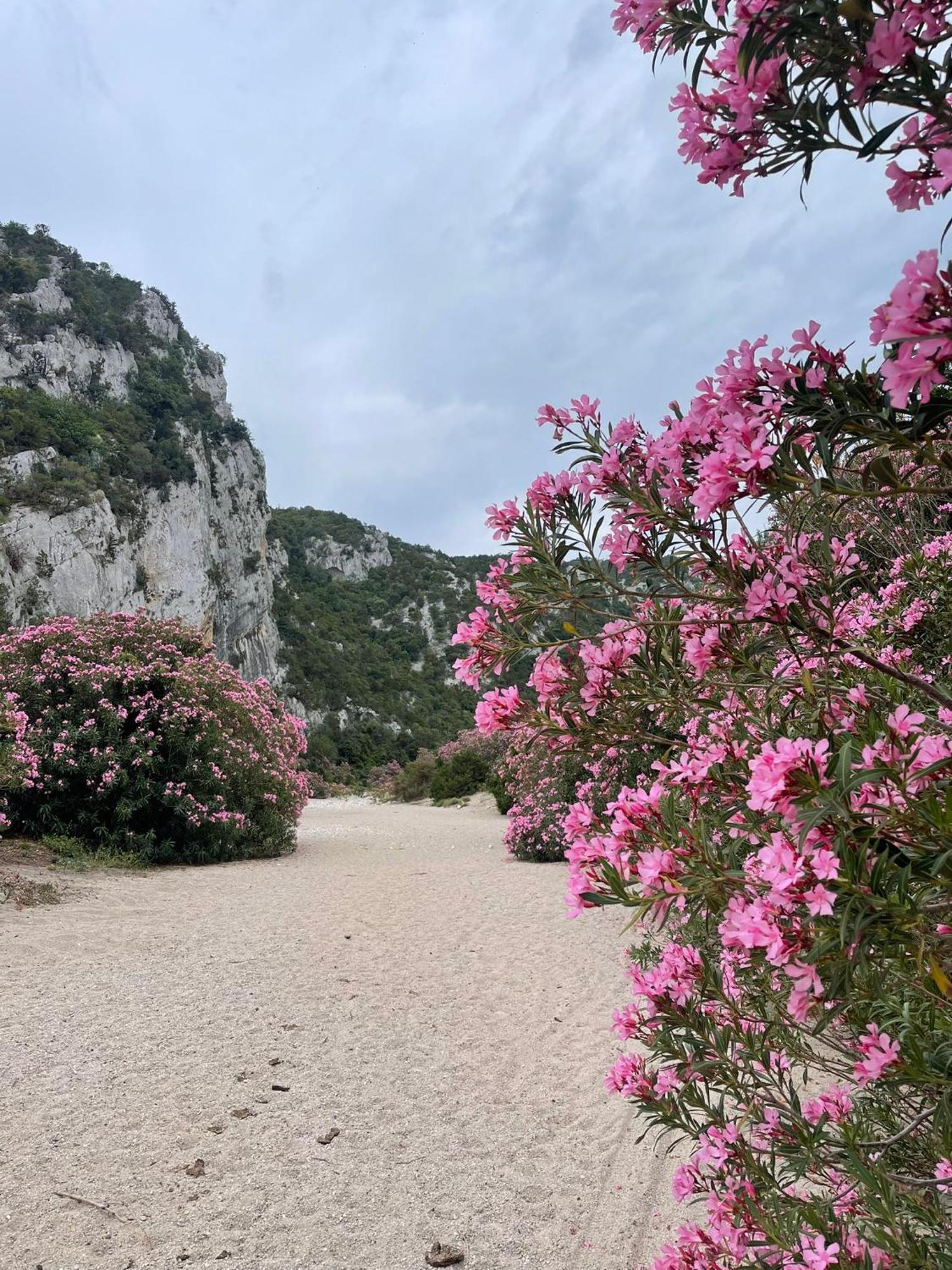 Sa Troppa De Sos Chentu Dorgali Exterior foto
